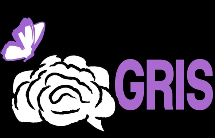 Materia Gris Agencia S.A.C.